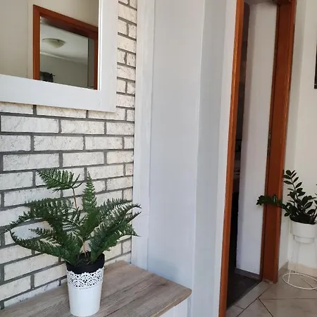 Cozy In In Quiet Neighborhood Apartment